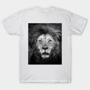 One Eyed Lion T-Shirt